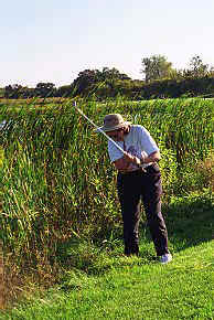 jill-golfing.jpg (61093 bytes)